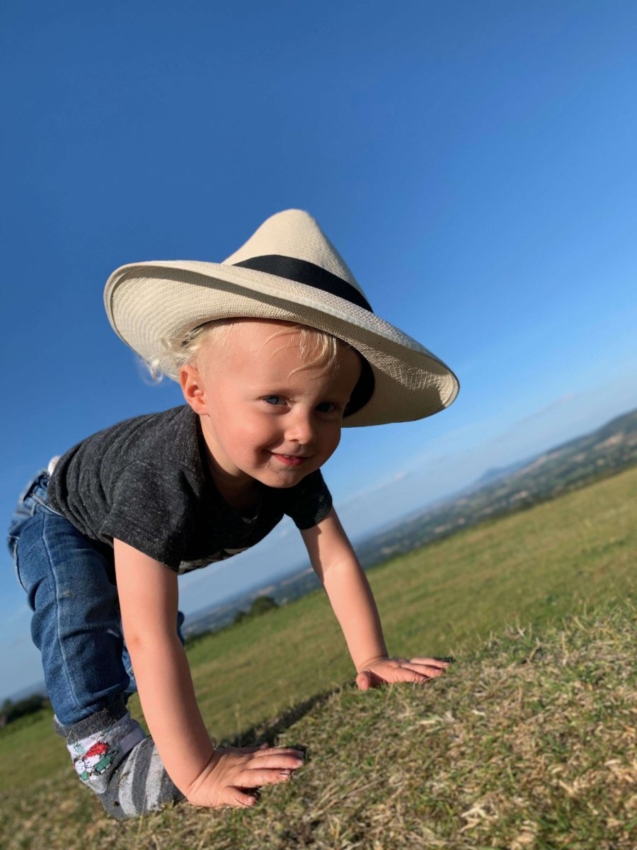 Welcome to Mustard and Gray - Mustard and Gray Ltd