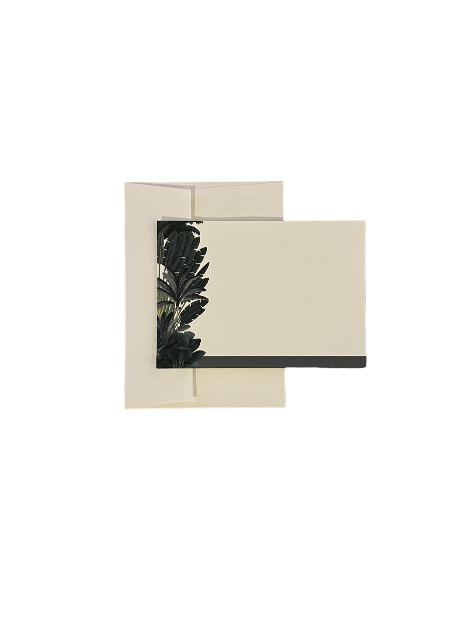 Darwin's Menagerie "Habitat" Notecard Set with Laid Envelopes