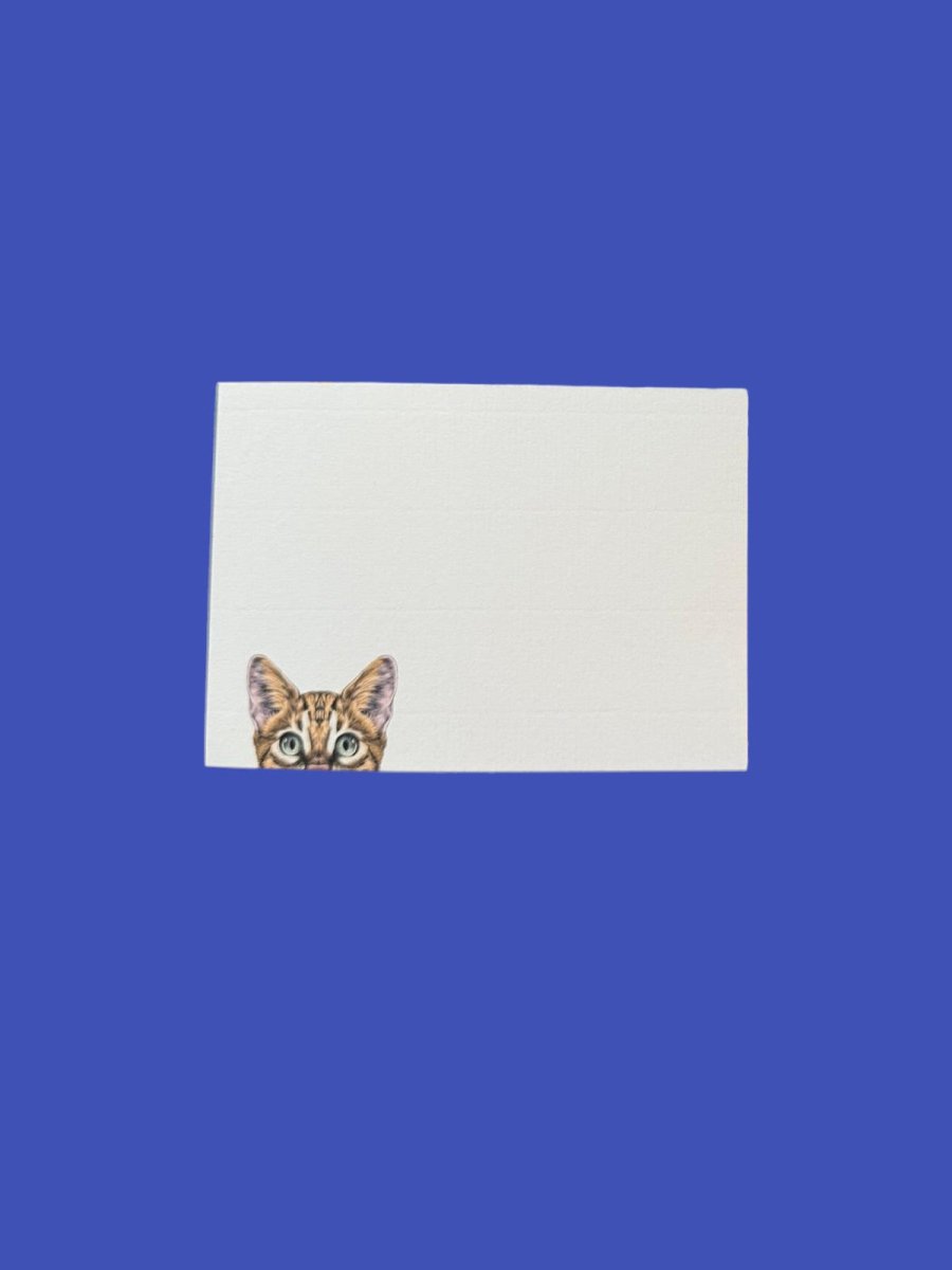 Cat Peak with Laid Envelopes