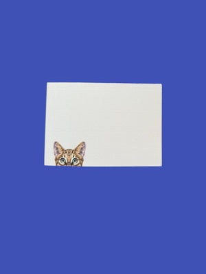 Cat Peak with Laid Envelopes