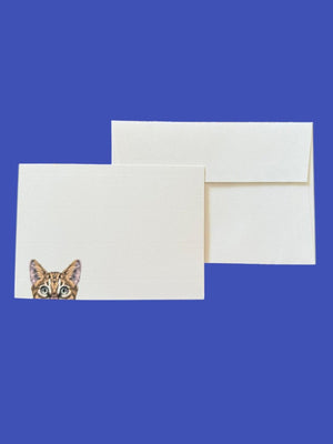 Cat Peak with Laid Envelopes