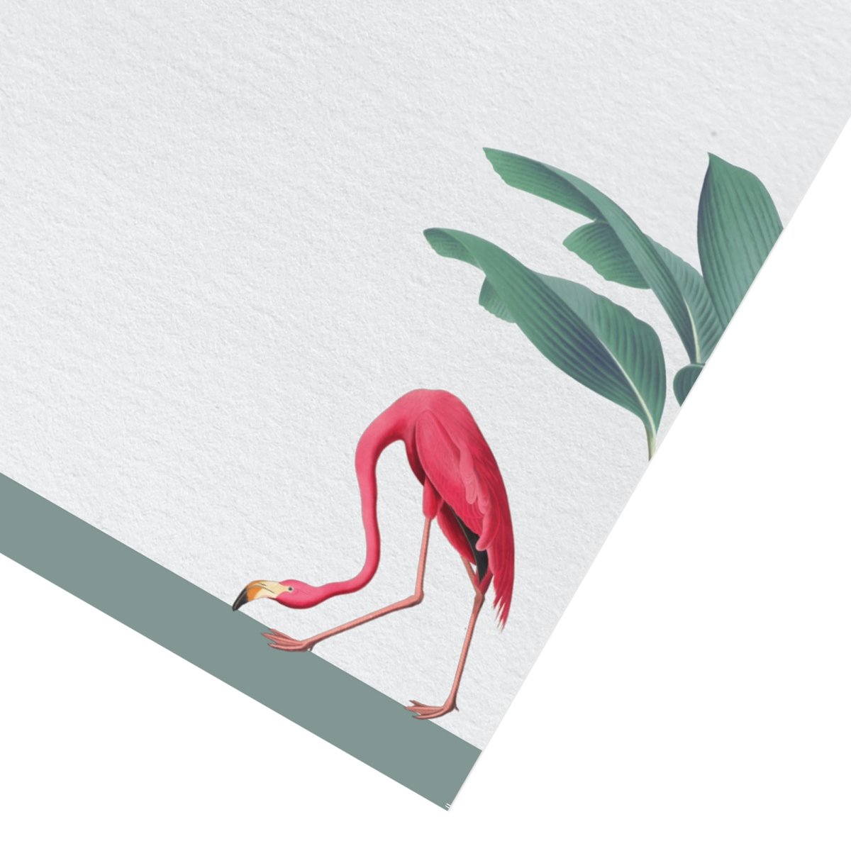 Darwin Flamingo Letter Paper - Laid A5 Writing Paper - Mustard and Gray Ltd