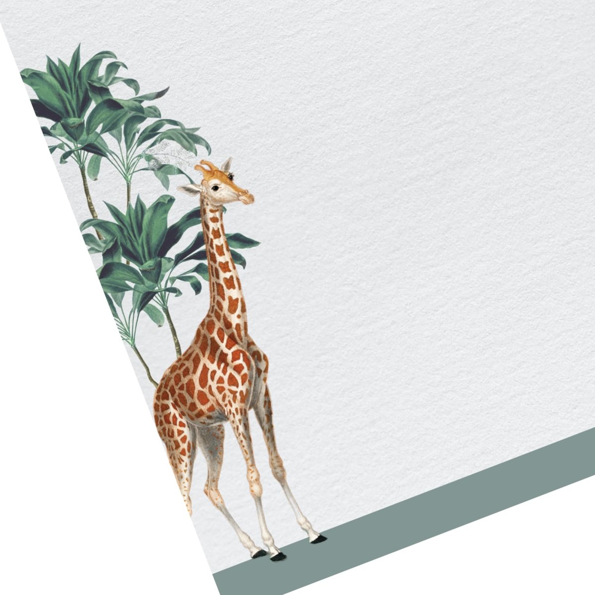 Darwin Giraffe Letter Paper - Laid A5 Writing Paper - Mustard and Gray Ltd