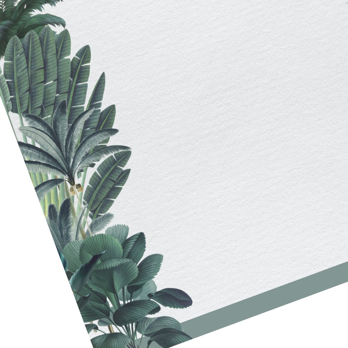 Darwin Habitat Letter Paper - Laid A5 Writing Paper - Mustard and Gray Ltd