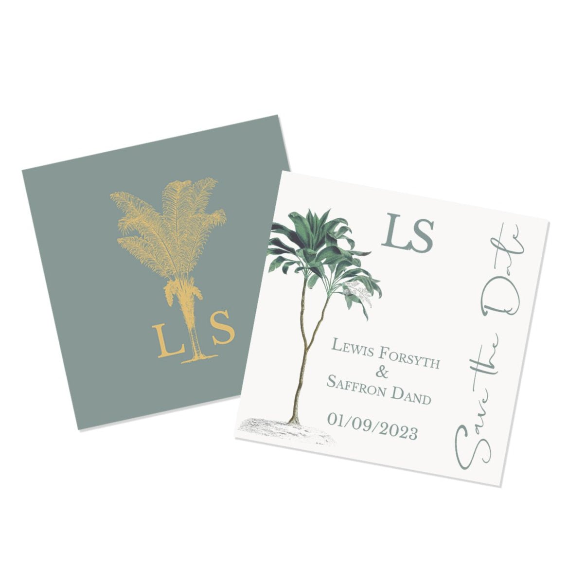 Darwin Save the Date Cards