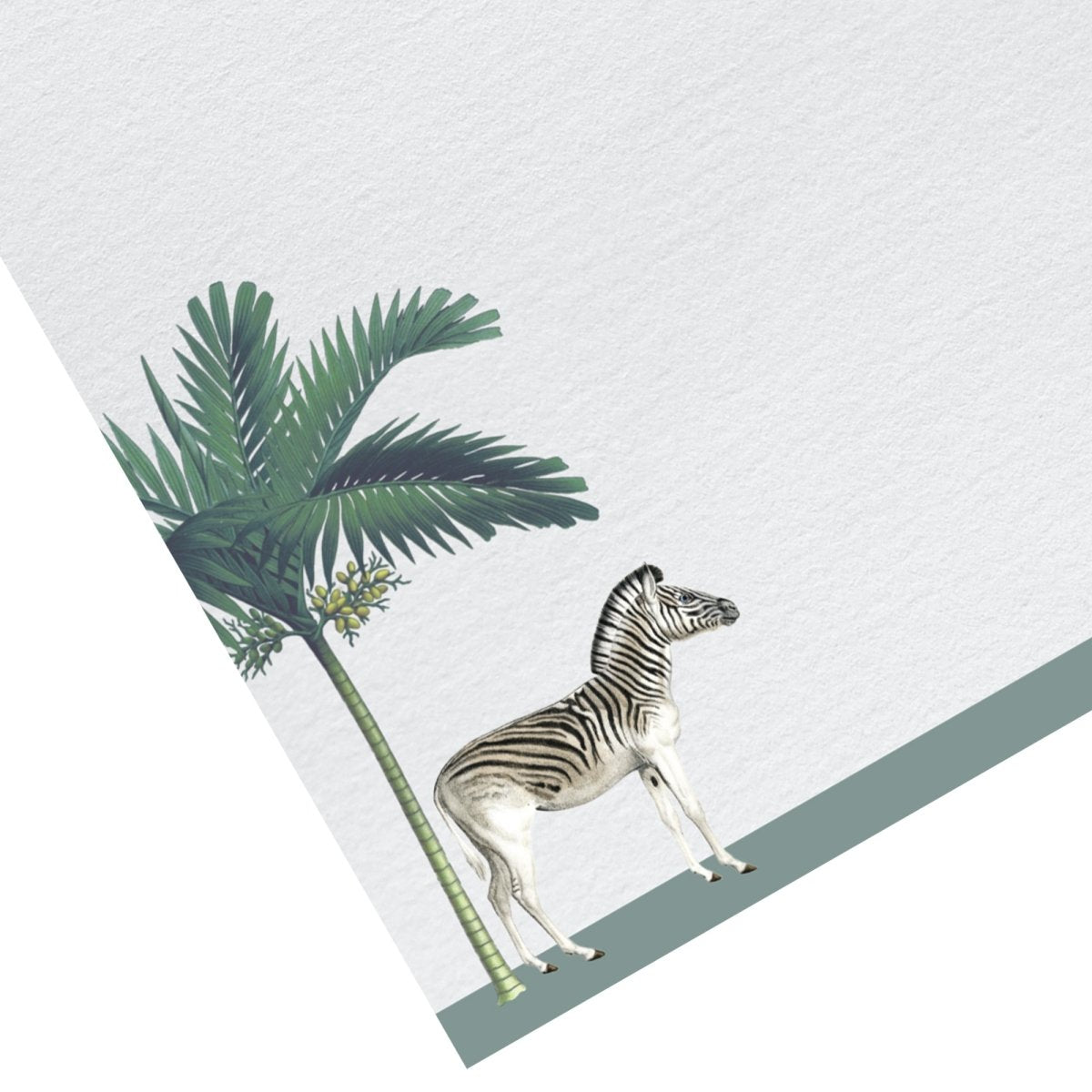 Darwin Zebra Letter Paper - Laid A5 Writing Paper - Mustard and Gray Ltd