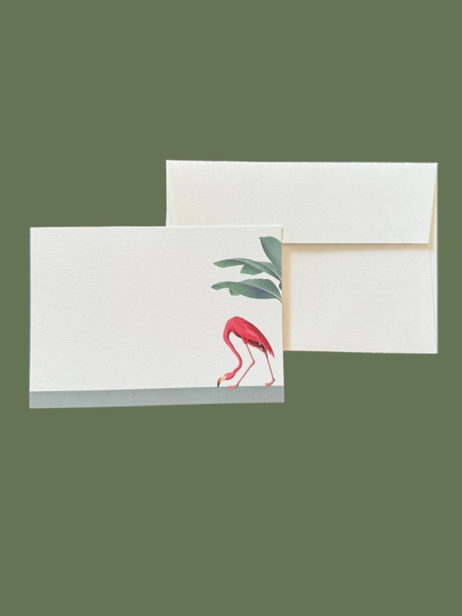 Darwin's Menagerie "Foraging Flamingo" Notecard Set with Laid Envelopes