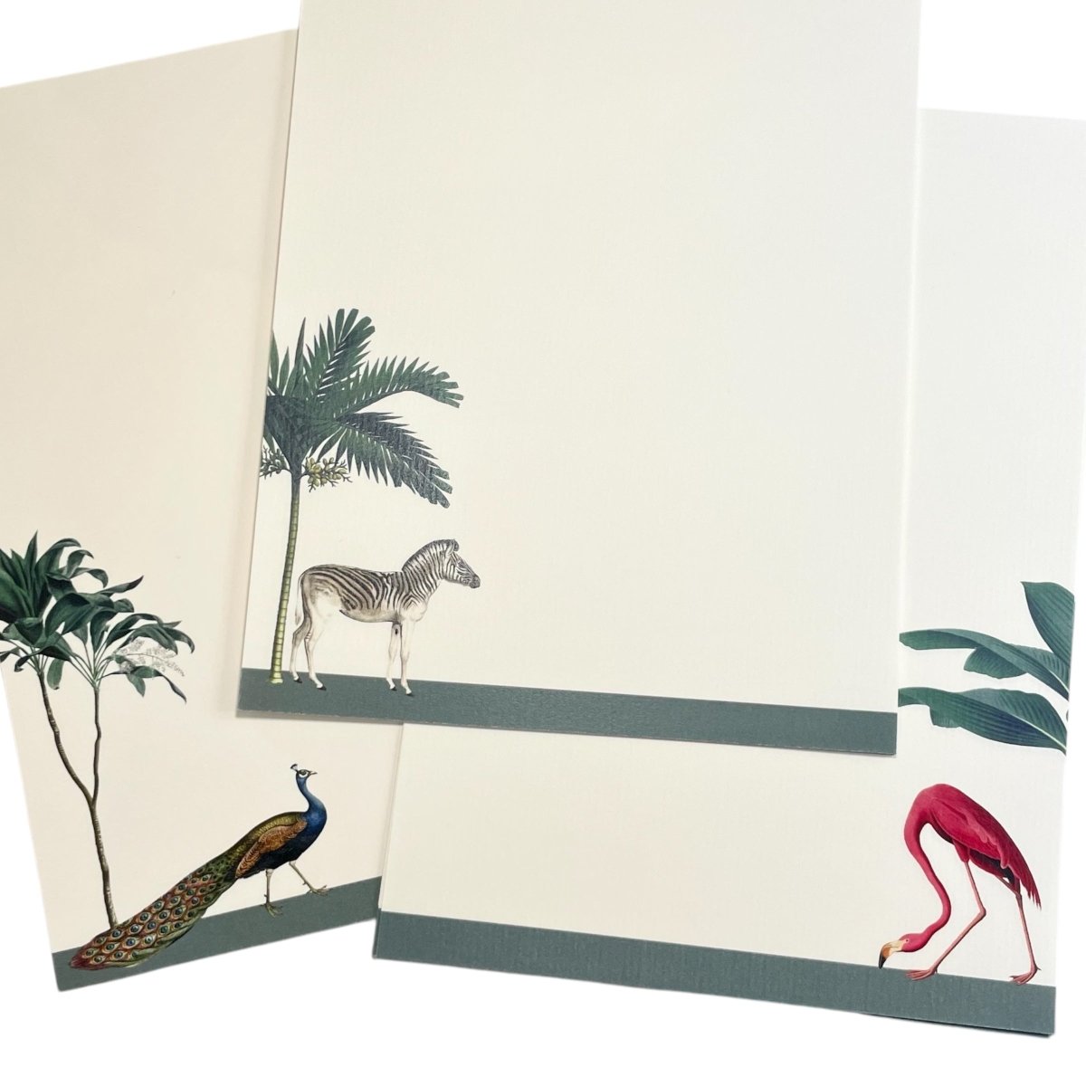 Darwin’s Menagerie Laid Writing Paper Bundle with Flamingo, Zebra & Peacock (72 Sheets) - Mustard and Gray Ltd