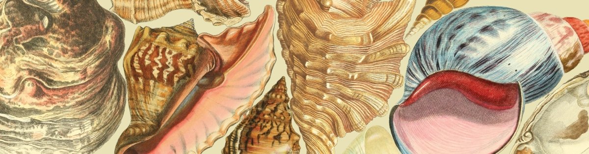 Dusky Pink & Shell Lamp Shade - Mustard and Gray Ltd