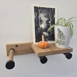 Hue & Hook; Hook Oak Peg Rail with Moveable Shelf