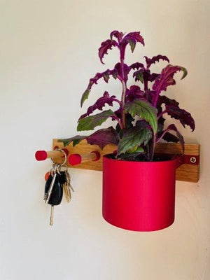 Hue & Hook Oak Hallway Organiser with Plant Pot and Key Hooks