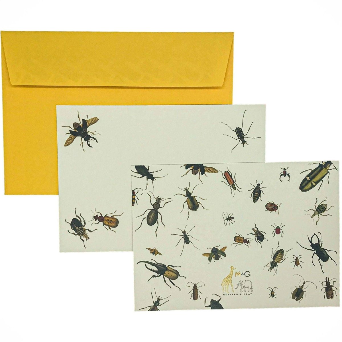 Insects Notecards - Mustard and Gray Ltd