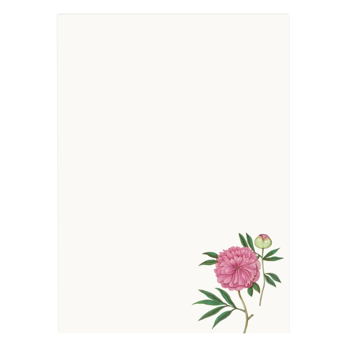 Peony Letter Paper - Wove A5 Writing Paper - Mustard and Gray Ltd