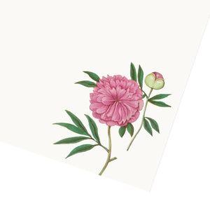 Peony Letter Paper - Wove A5 Writing Paper - Mustard and Gray Ltd