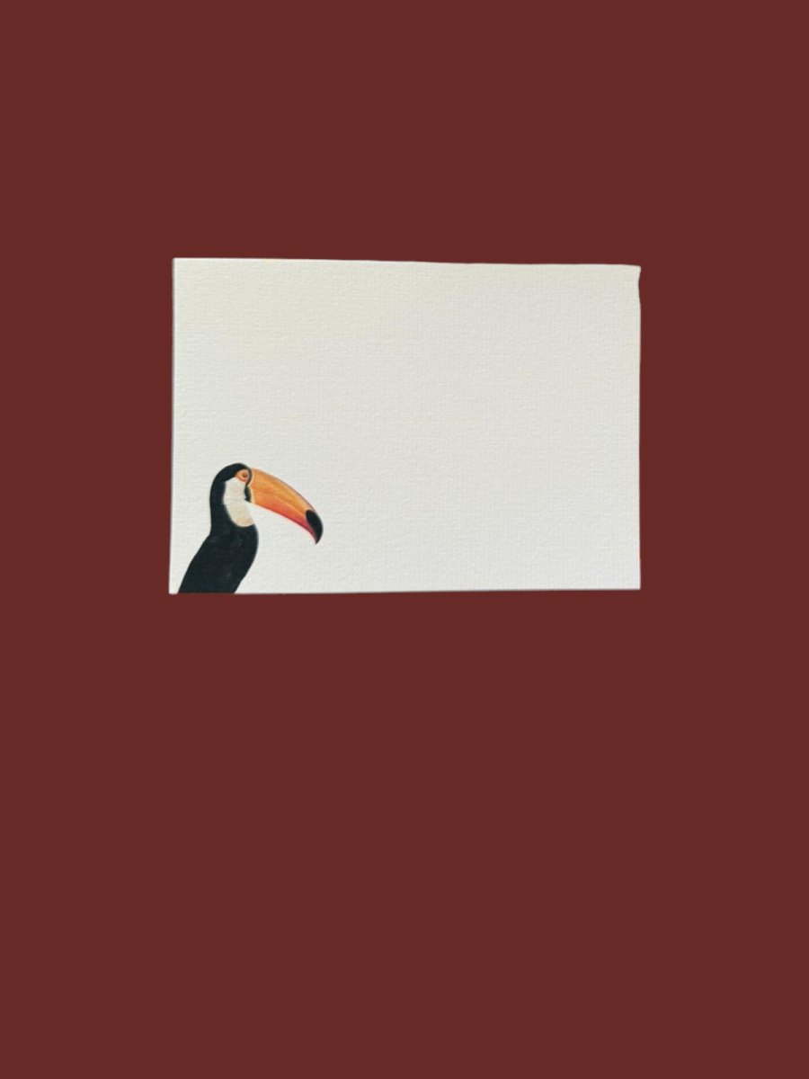 Toco Toucan Notecard Set with Laid Envelopes