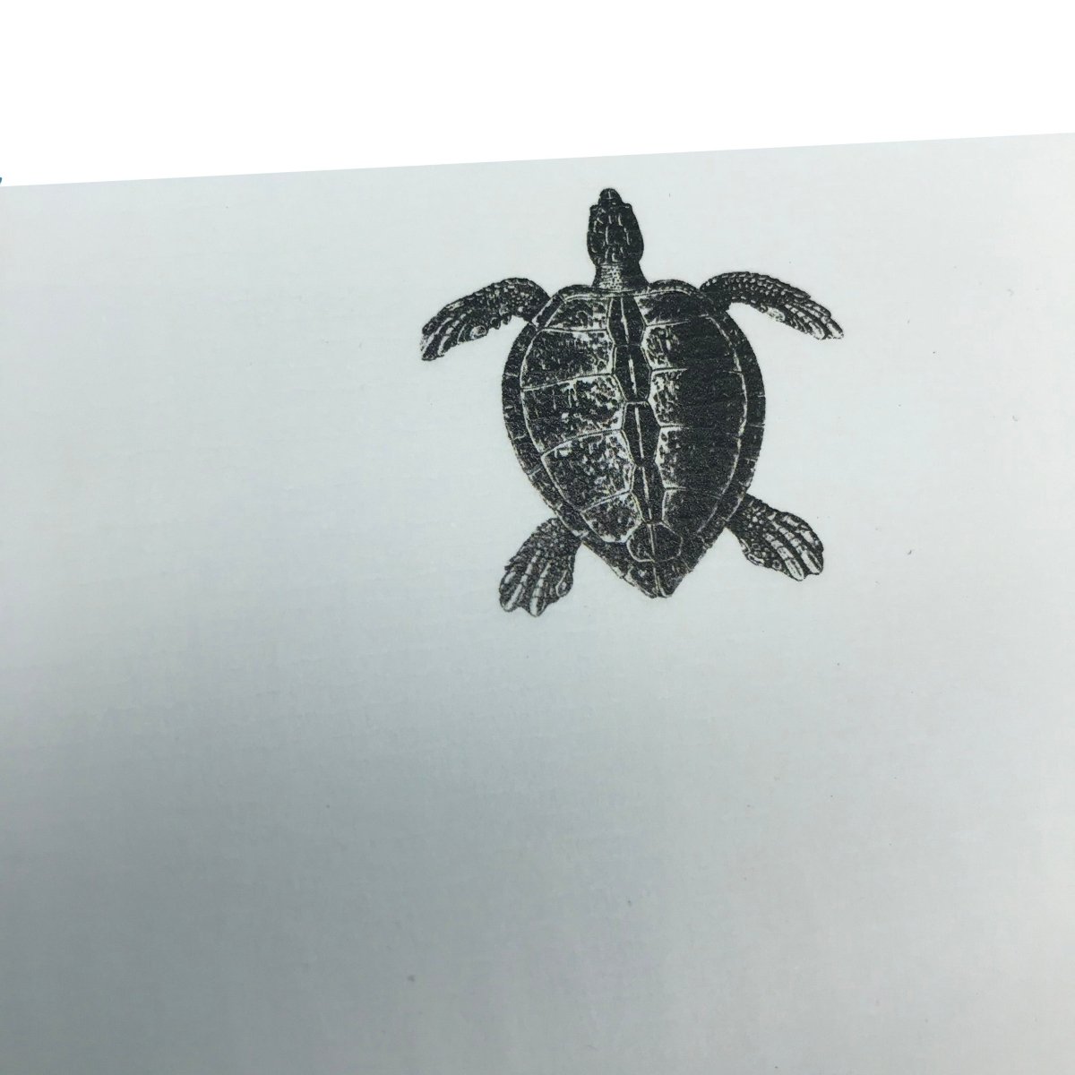 Turtle Letter Paper - Laid A5 Writing Paper - Mustard and Gray Ltd