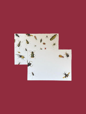 Vintage Bugs Notecard Set with Laid Envelopes