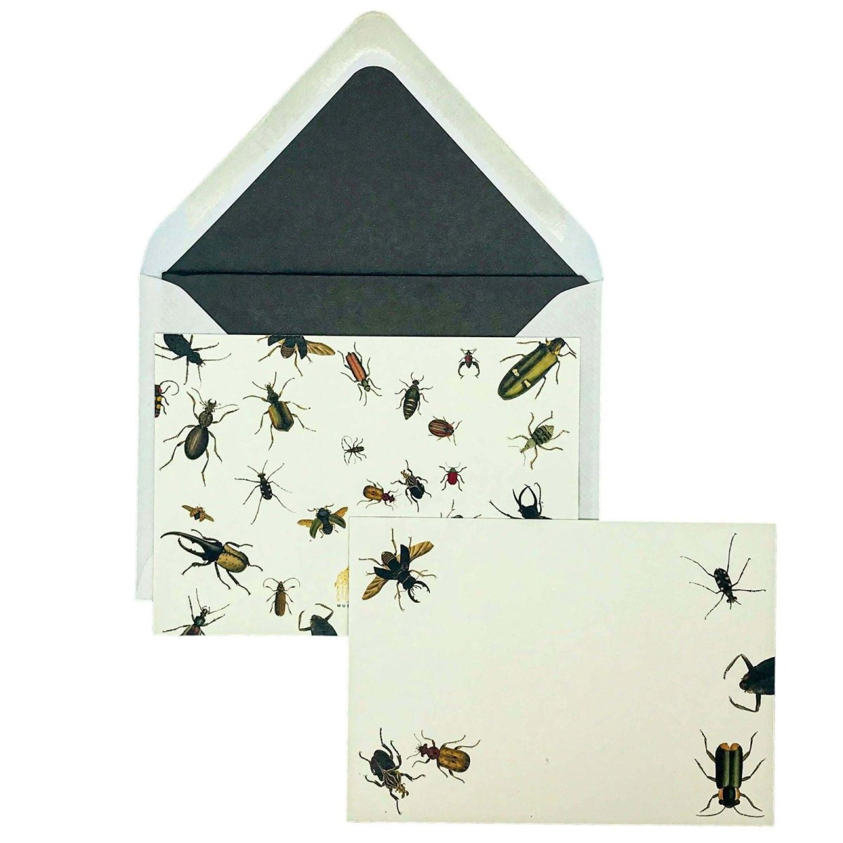 Vintage Bugs Notecard Set with Lined Envelopes - Mustard and Gray Ltd