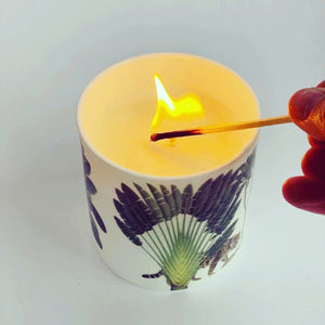 Darwin's Menagerie Candle "Frankincense & Myrrh"