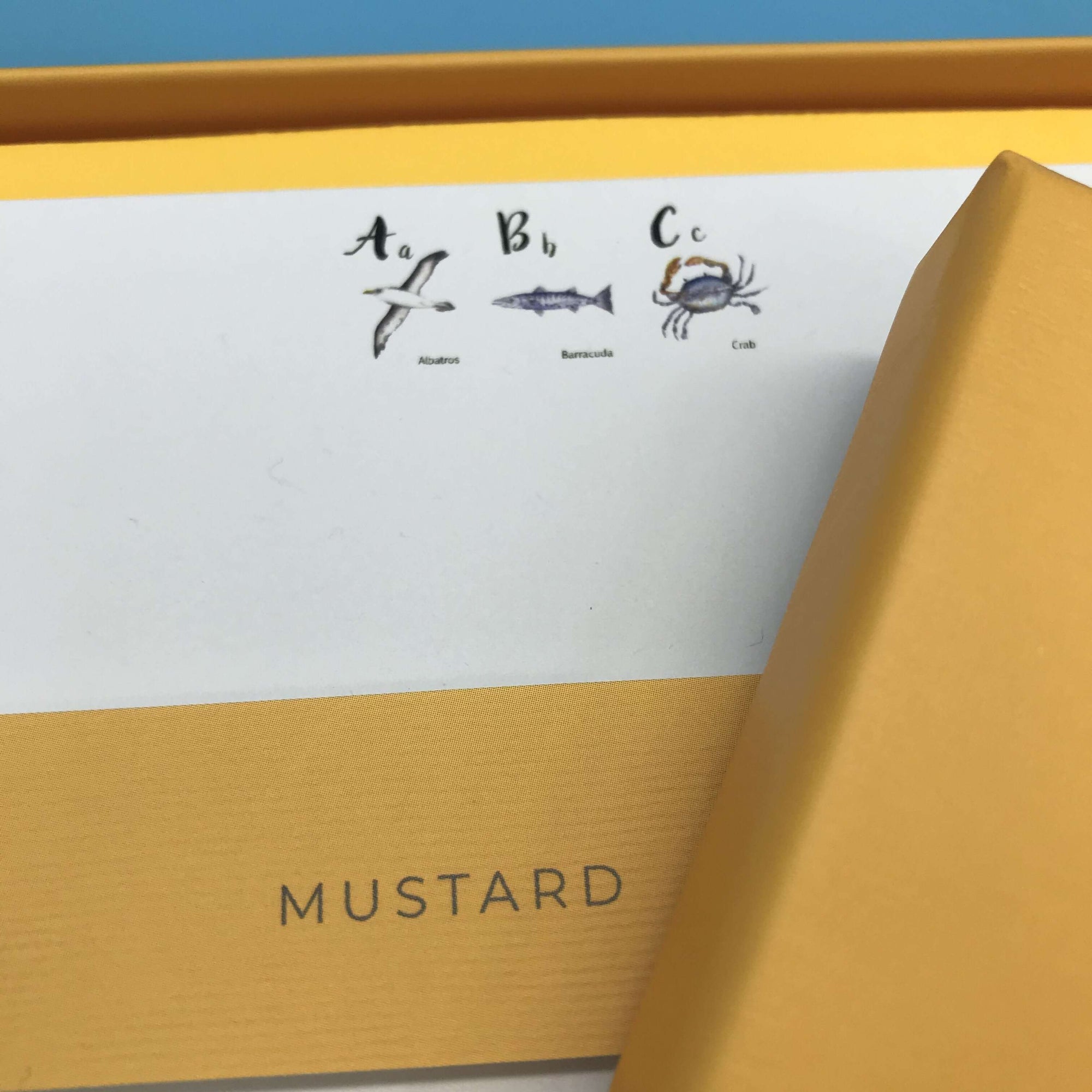ABC Sealife Notecard Set Children's Notecards Mustard and Gray Ltd Shropshire UK