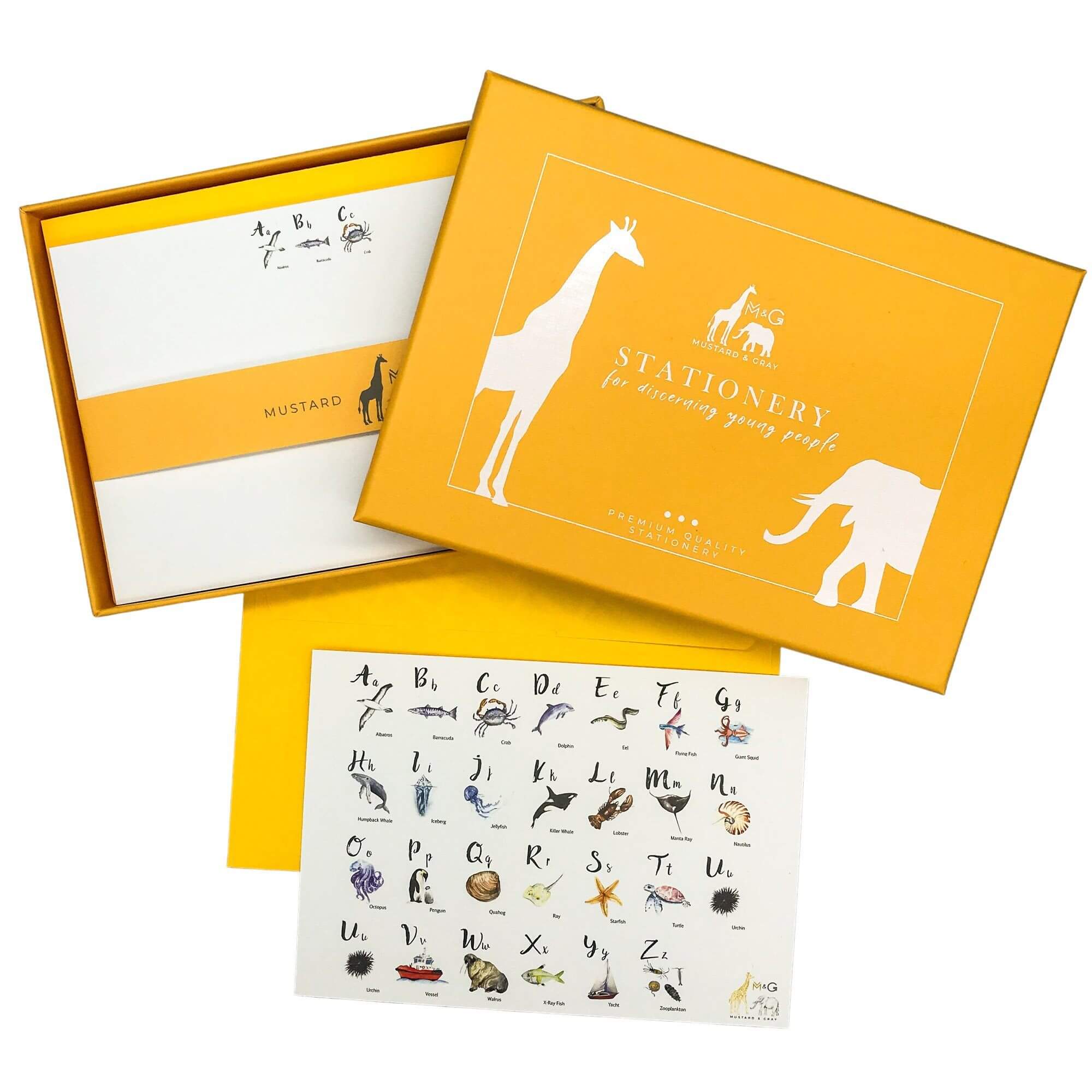 ABC Sealife Notecard Set Children's Notecards Mustard and Gray Ltd Shropshire UK
