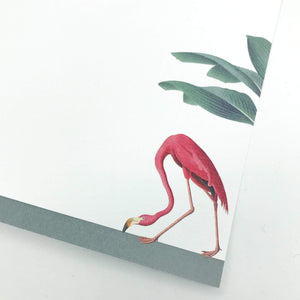 Darwin's Menagerie Foraging Flamingo Writing Paper Compendium