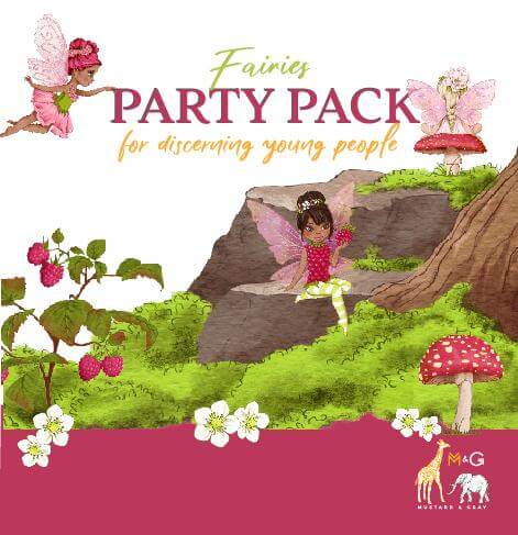 Fairy Party Pack Party Box Mustard and Gray Ltd Shropshire UK