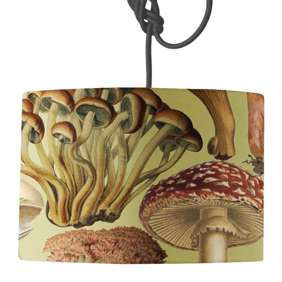 Mushroom Lamp Shade - Mustard and Gray Ltd